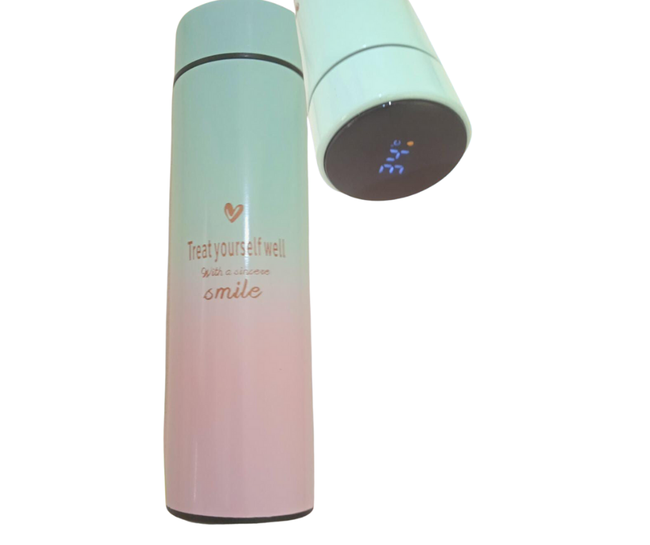 TERMO 450 ML